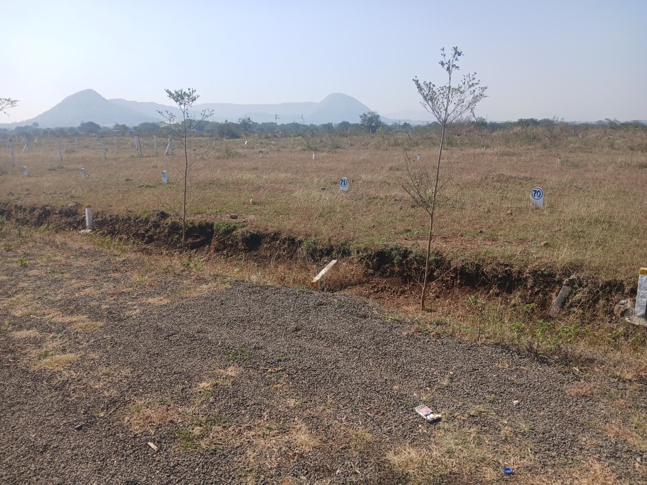 Plot For Sale in Pimpalgaon Bahula