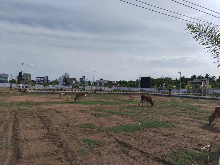 undefined, kelambakkam  1000 Sq.Ft. Plot In Kelambakkam Chennai 9594992