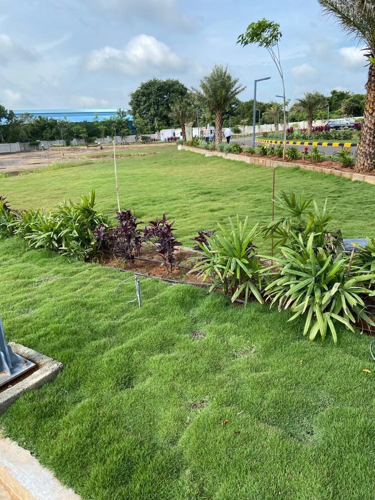 Garden, shadnagar  165 Sq.Yd. Plot In Shadnagar Hyderabad 9595252
