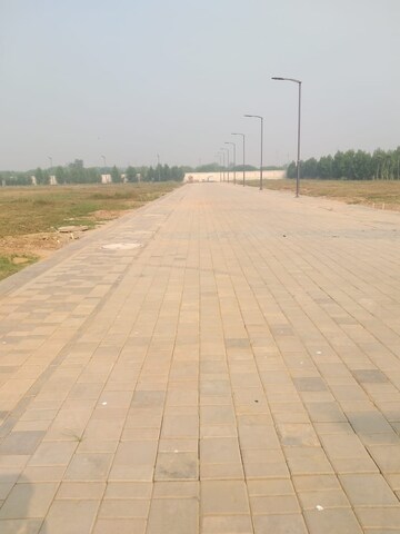 Plot Area in  Plot at Sector 80 – for Sale