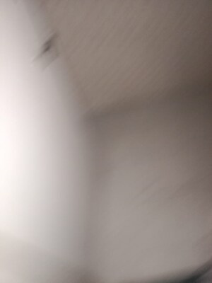 Room in 1 BHK Apartment at Oriental Gold Apartment, Aundh – for Rent