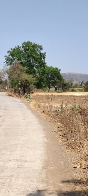 Plot Area in  Plot at Bihdia – for Sale