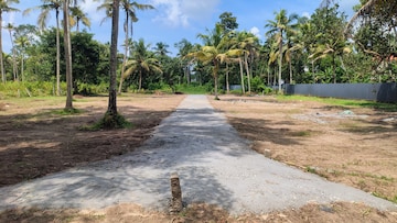 Plot Area in  Plot at Manappally – for Sale