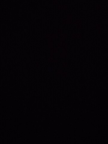 3 BHK Apartment For Rent in Rajapushpa Eterna, Nanakramguda