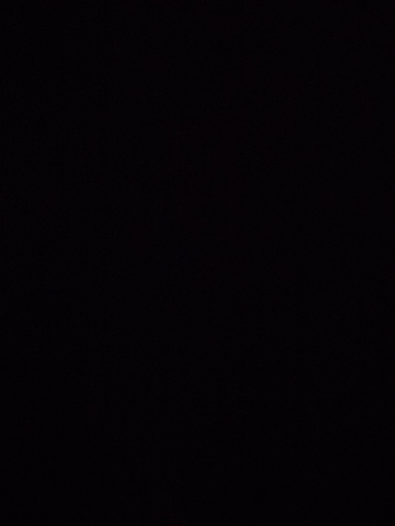 3 BHK + Pooja Room Apartment For Rent in Rajapushpa Eterna