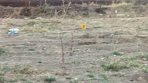 Plot Area in  Plot at Adgaon – for Sale