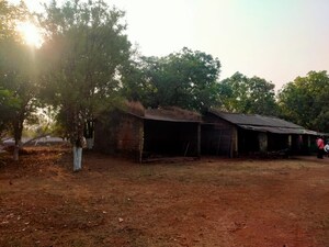 Plot Area in  Plot at Pali – for Sale