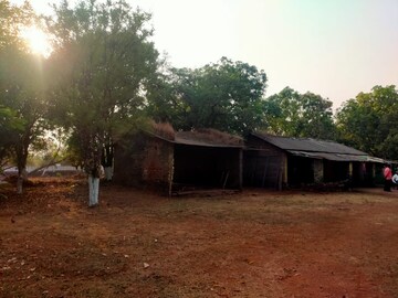 Plot Area in  Plot at Pali – for Sale