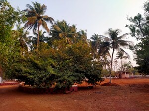  Plot – Garden View at Pali - for Sale