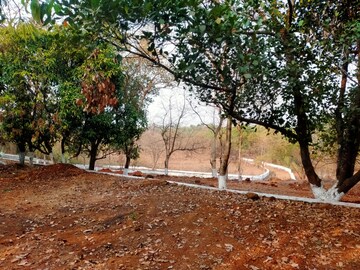 Plot Area in  Plot at Pali – for Sale