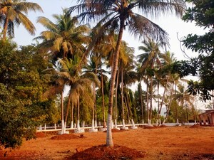  Plot – Exterior View View at Pali - for Sale