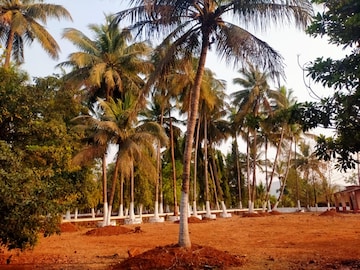  Plot – Exterior View View at Pali - for Sale