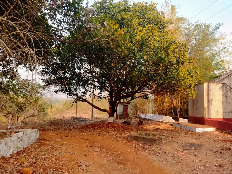 undefined, pali  12 Acre Plot In Pali Navi Mumbai 9596308