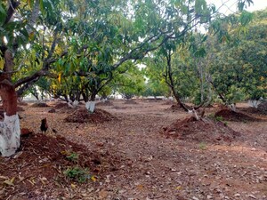 Plot Area in  Plot at Pali – for Sale