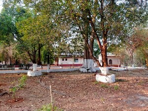  Plot For Sale in Pali