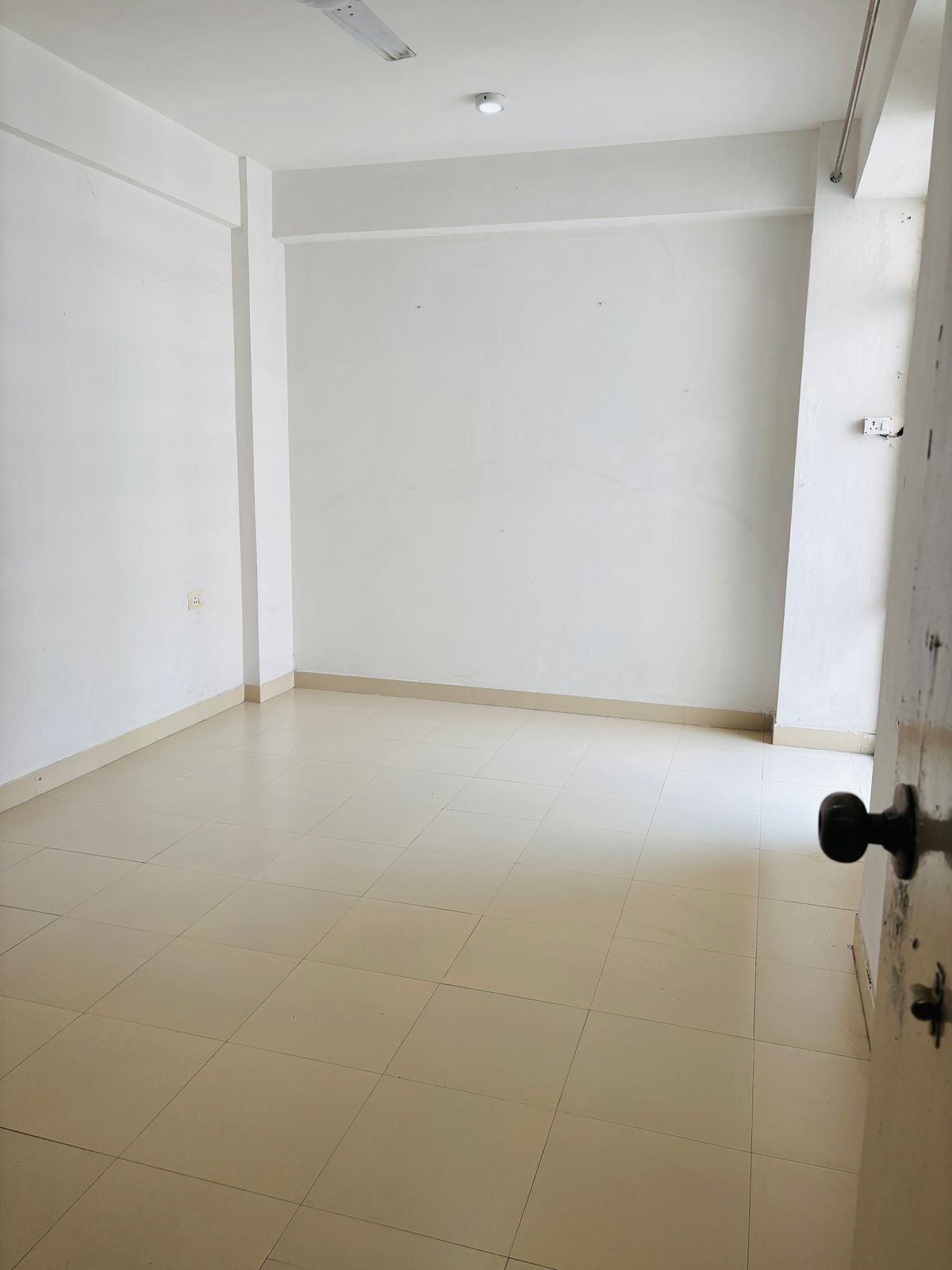 1 BHK Apartment For Rent in Breez Global Heights