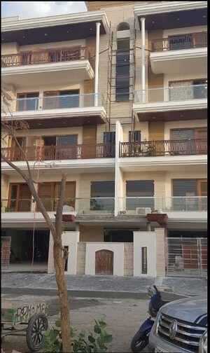 3 BHK Builder Floor For Sale in Sector 81