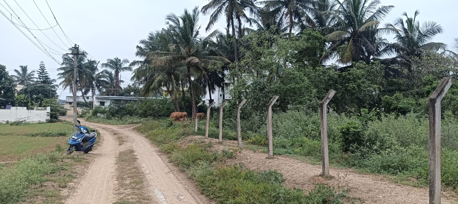 Plot For Sale in Kanchan Vihar