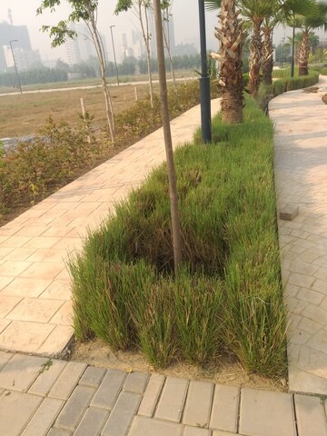 Plot Area in  Plot at BPTP District Phase 2, Sector 84 – for Sale