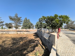 Plot Area in  Plot at 3B Homes Pataudi One, Rampura – for Sale