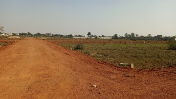 Plot Area in  Plot at Boriyakhurd – for Sale