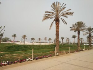  Plot For Sale in Sector 97