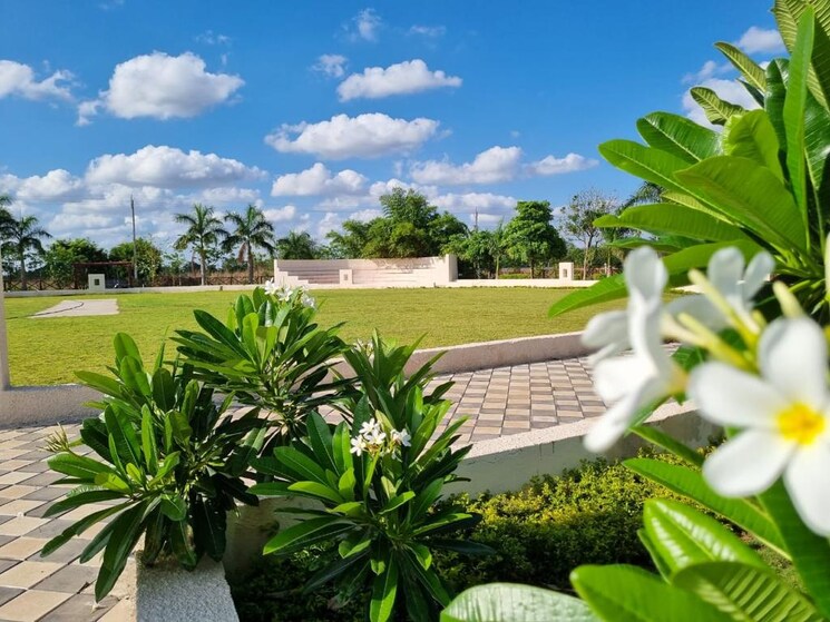 Garden, sejbahar  1000 Sq.Ft. Plot In Sejbahar Raipur 9598119