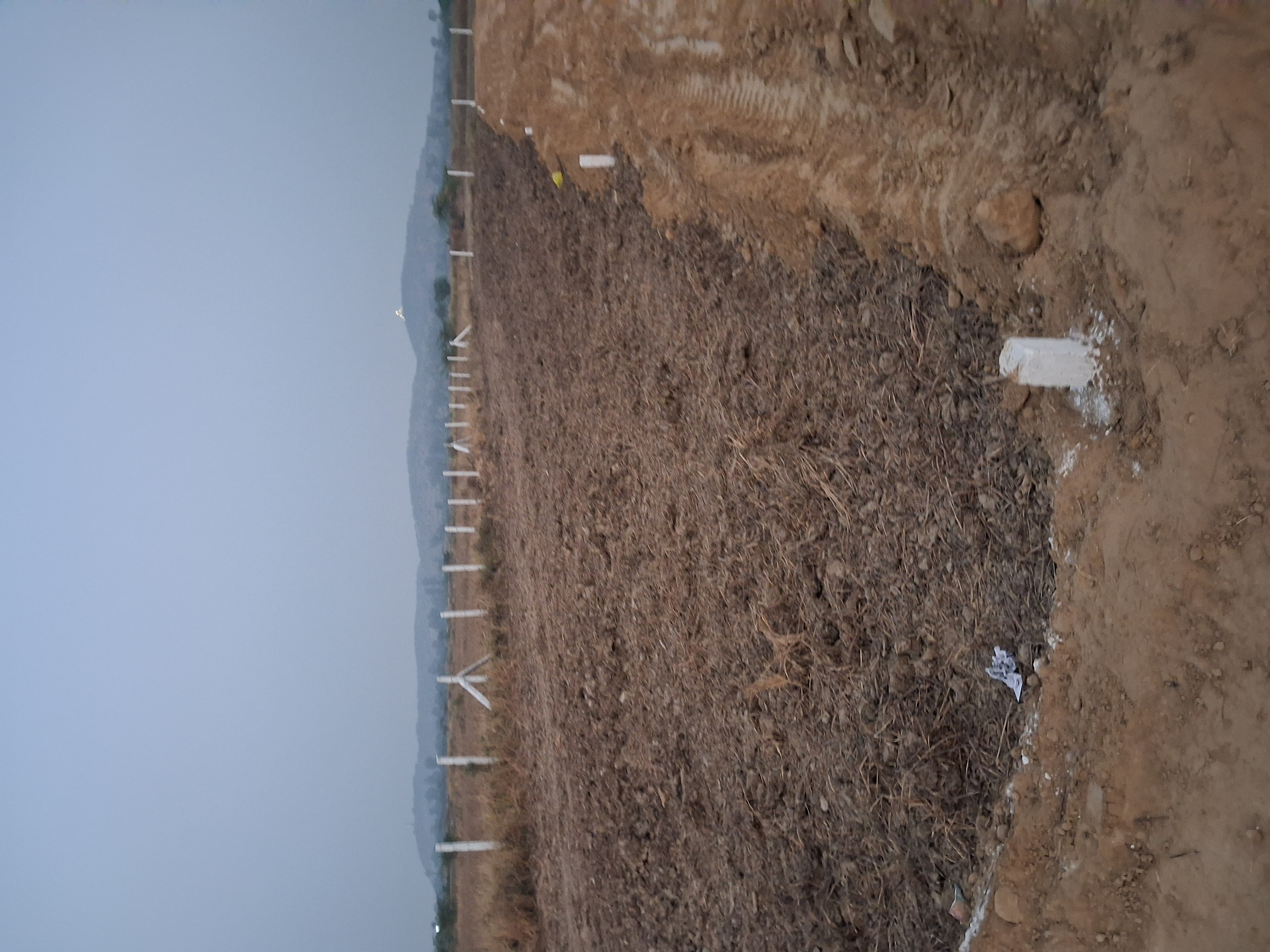 Plot For Sale in Sohna