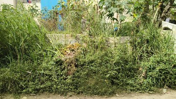  Plot For Sale in Kothanur