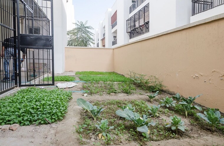 Garden, sector 84 3 Bedroom 250 Sq.Yd. Apartment In Sector 84 Faridabad 9598910