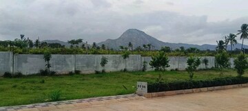 Plot Area in  Plot at Devanahalli Road – for Sale