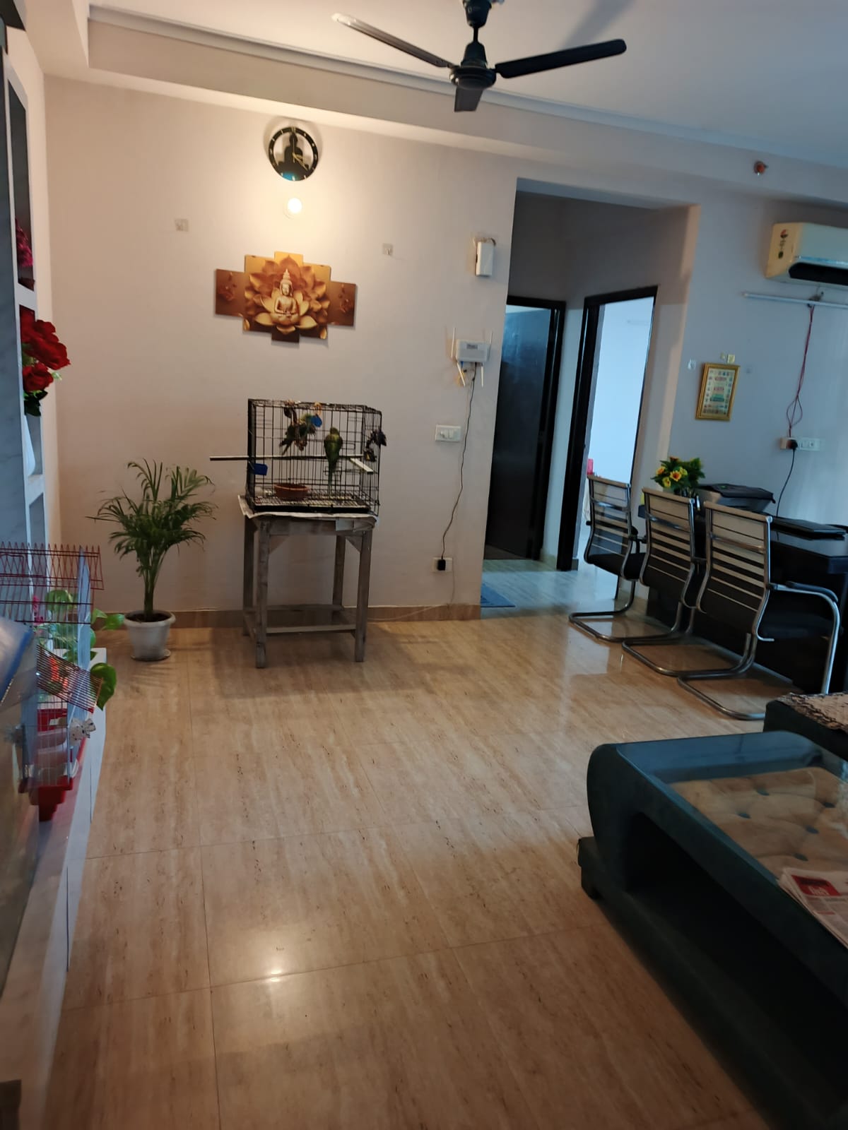 3 BHK Apartment For Rent in Amrapali Golf Homes