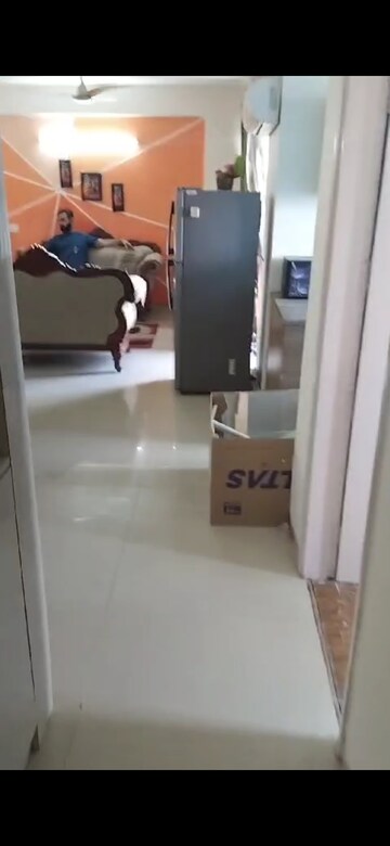 3 BHK Apartment For Rent in Tulip Violet, Sector 69