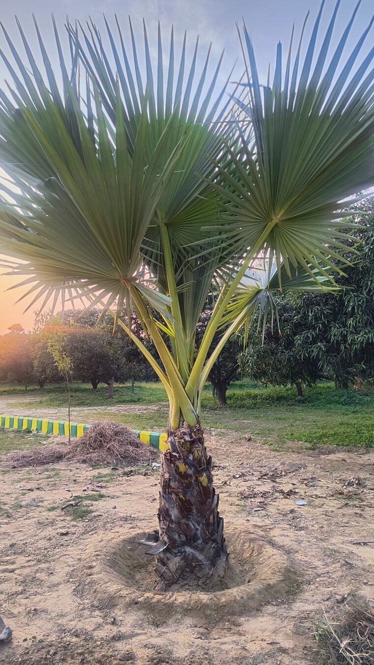 Exterior View, kanpur road  800 Sq.Ft. Plot In Kanpur Road Lucknow 9599653