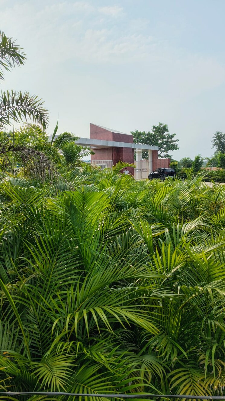 Exterior View, sultanpur road  1019 Sq.Ft. Plot In Sultanpur Road Lucknow 9599860