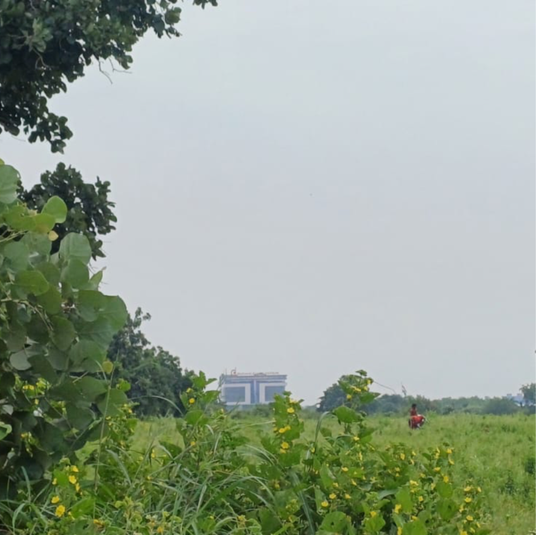 Exterior View, mihan  2725 Sq.Ft. Plot In Mihan Nagpur 9600887