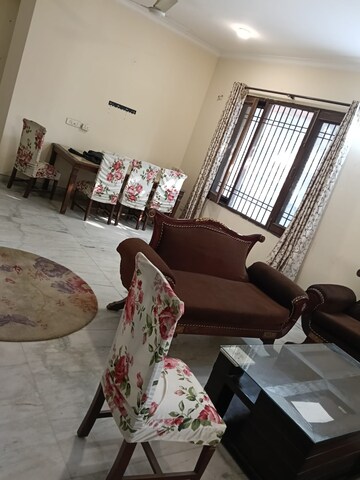 Living Room in 3 BHK Builder Floor at Ansal Plaza Sector-23, Sector 23 – for Rent