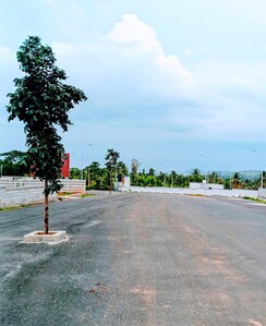 Plot For Sale in Harohalli