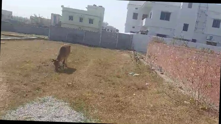 Exterior View, uberiya  2613 Sq.Ft. Plot In Uberiya Ranchi 9600316