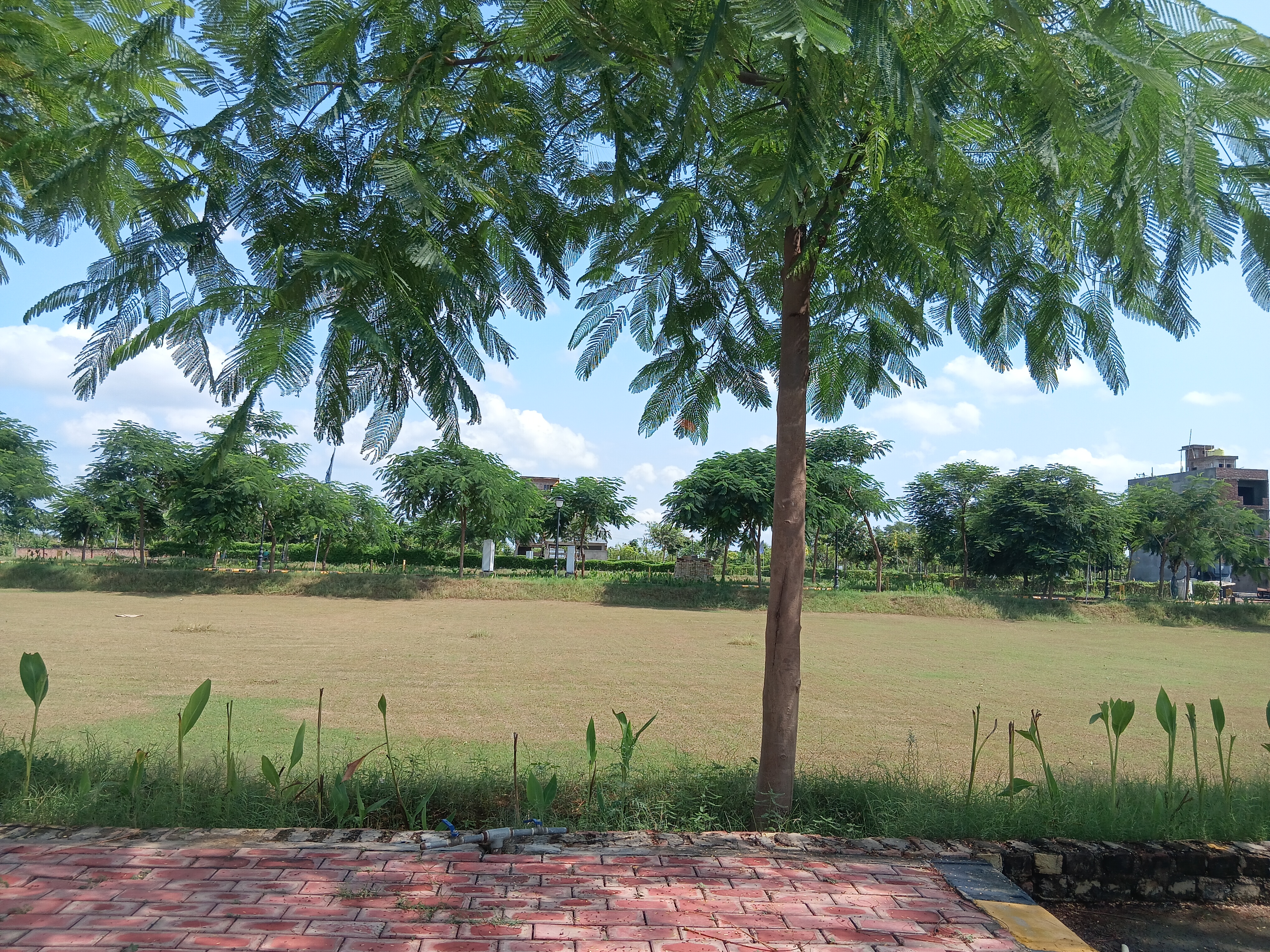Plot For Sale in Sector 29