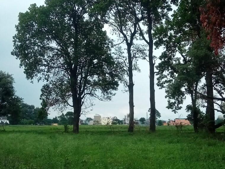 Exterior View, raipur  150 Sq.Yd. Plot In Raipur Dehradun 9601159