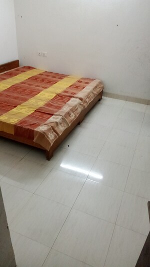 3 BHK Apartment For Rent in Parker White Lily, Sector 8