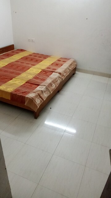 3 BHK Apartment For Rent in Parker White Lily, Sector 8