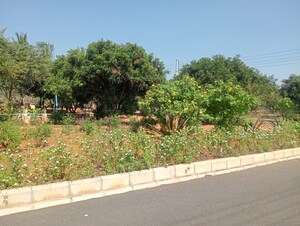 Plot Area in  Plot at Kadthal – for Sale