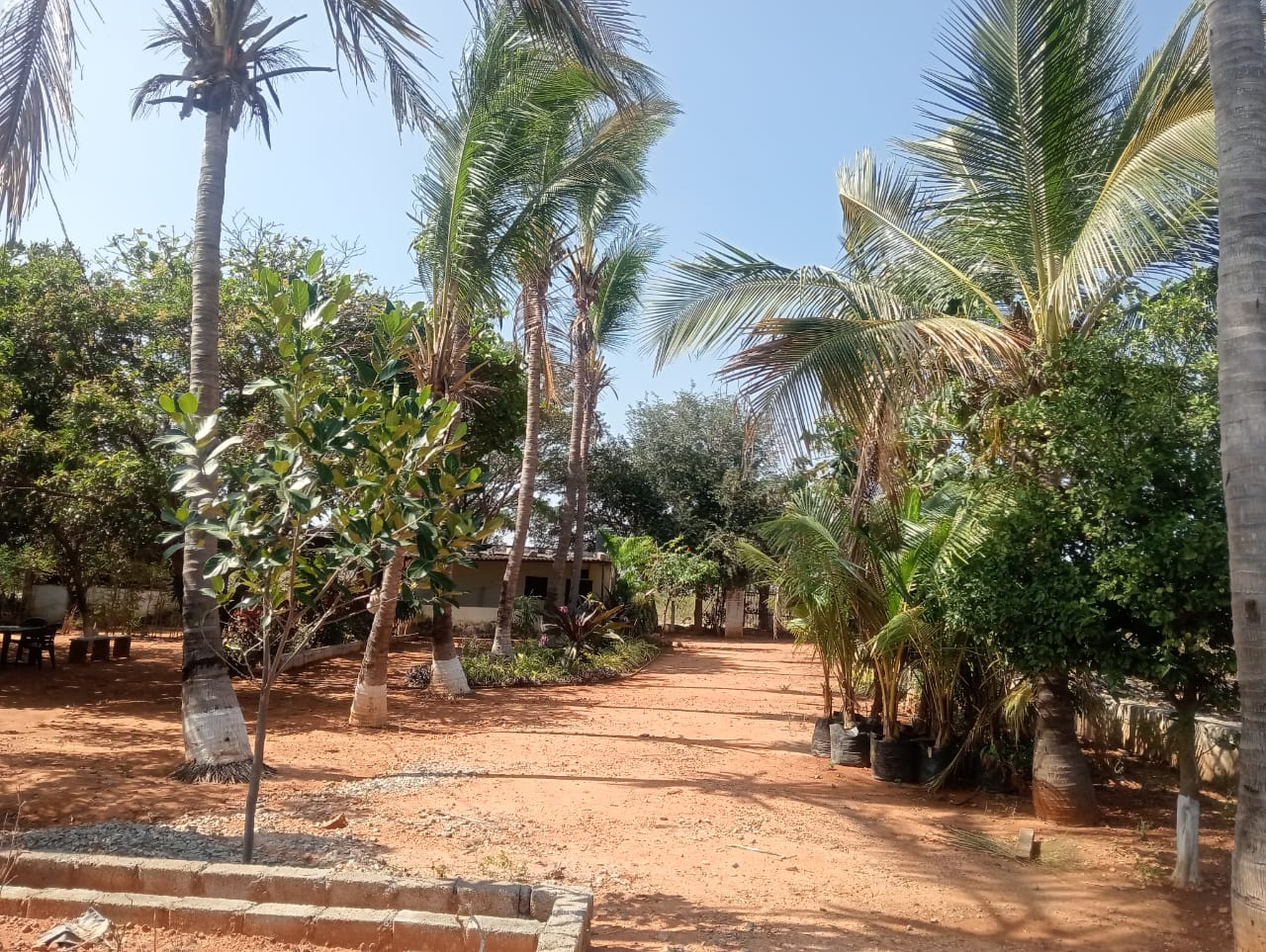 Plot For Sale in Kadthal