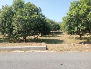 Plot Area in  Plot at Kadthal – for Sale