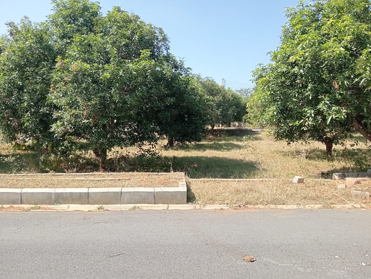 undefined, kadthal  200 Sq.Yd. Plot In Kadthal Hyderabad 9601542