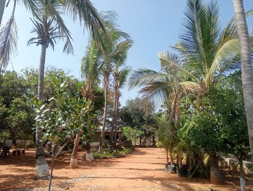  Plot – Exterior View View at Kadthal - for Sale