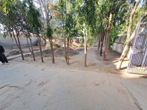  Plot For Sale in Chirawa