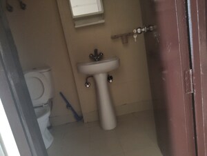 Master Bedroom in 3 BHK Apartment at Amrapali Golf Homes, Sector 4 Greater Noida – for Rent